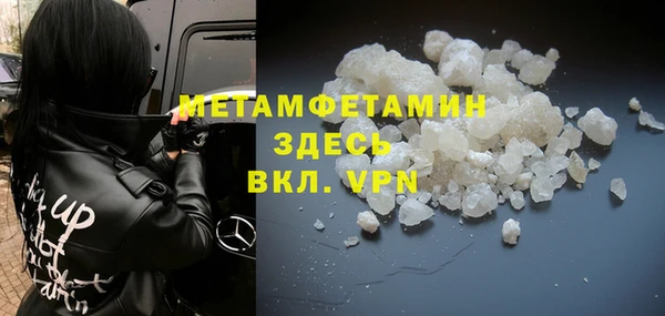 индика Богданович