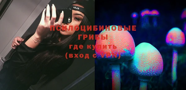 индика Богданович