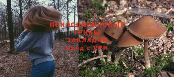 индика Богданович