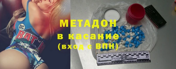 индика Богданович
