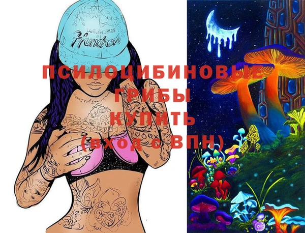индика Богданович