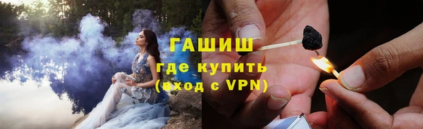 индика Богданович
