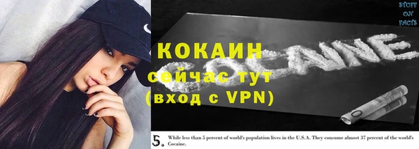 2c-b Богородицк