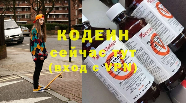 индика Богданович
