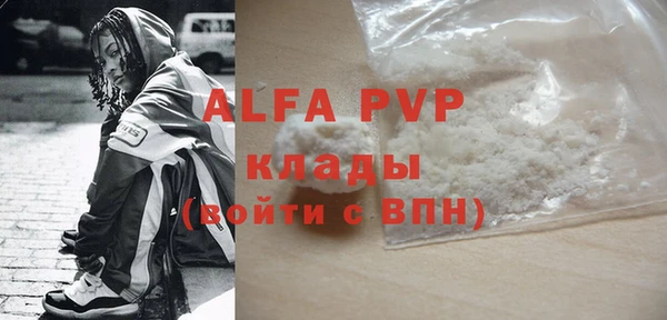 индика Богданович