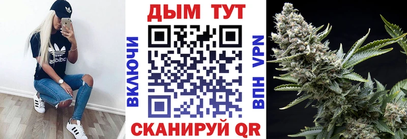Шишки марихуана индика  МЕГА ссылки  Губкин  дарк нет Telegram  что такое наркотик 